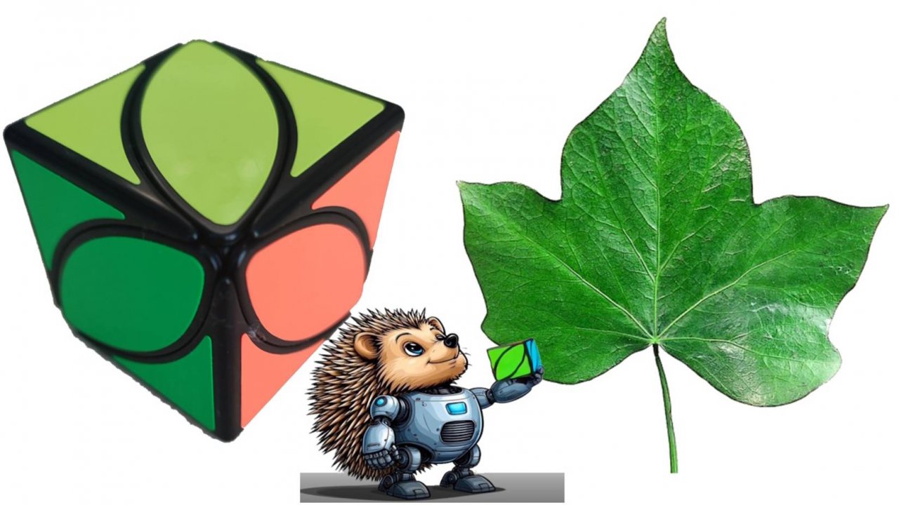 🦔 Собирайка: сборка айви куба. Урок №1: где спрятан цветок плющ?