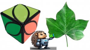 🦔 Собирайка: сборка айви куба. Урок №1: где спрятан цветок плющ?