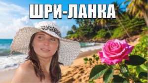 Когда книги подождут: Мое приключение на Шри-Ланке.