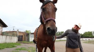 УСПЕЮТ ЛИ К 400-ЛЕТИЮ КРАСНОЯРСКА РЕКОНСТРУИРОВАТЬ ИППОДРОМ?