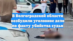 В Волгоградской области возбудили уголовное дело по факту убийства судьи