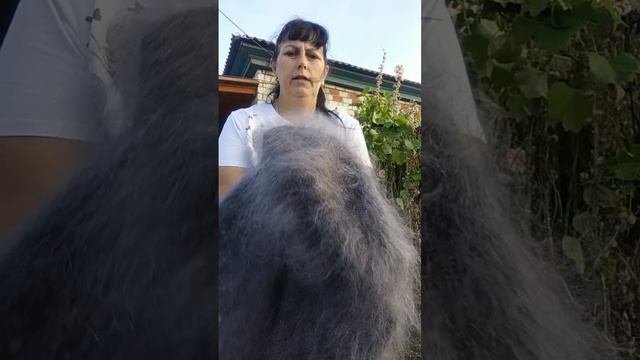 1000187570.mp4 Пуховые платочки у Ольги из Волгоградской области.т.89020931602 смотреть онлайн