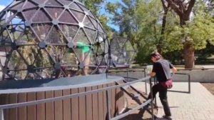 🧡 Вольер в виде шара теперь есть не только у бурых капуцинов, но и у пернатых.