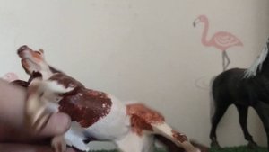 Обзор на лошадей которых я покрасила🐎