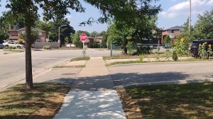 Радикальный либерализм - непримиримый и агрессивный.