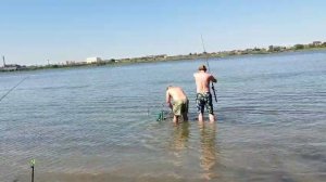 САЗАН Клюёт на Жмых 🫡 Рыбалка в Астрахани.