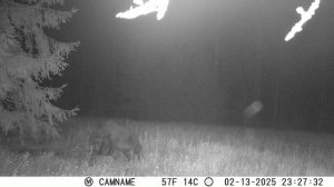 Фотоловушка KeepGuard 696