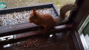 пятница за окном