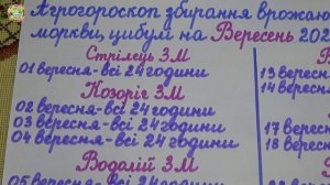 Когда лучше копать картошку в сентябре 2025?