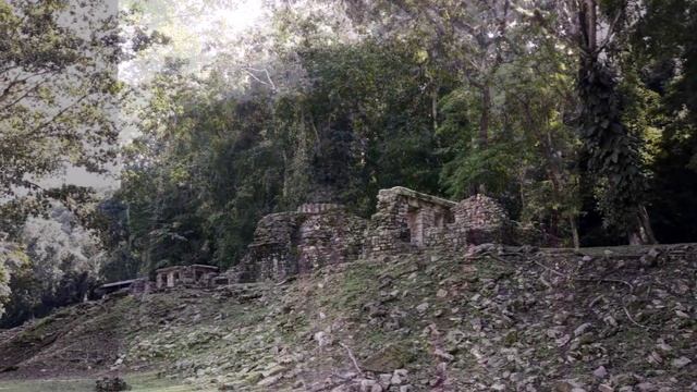 Мексика. Яшчилан. 19.11.2019г.