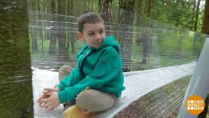 Что нам стоит дом построить! На дереве... Доброе утро. Фрагмент выпуска от 15.08.2025