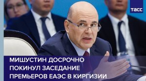 Мишустин досрочно покинул заседание премьеров ЕАЭС в Киргизии