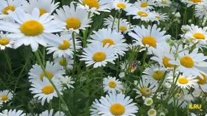 Как начать жизнь с чистого листа // Короткие истории из жизни