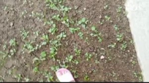 VLOG /С РЕБОРНОМ ЕВОЙ🩷ГУЛЯЕМ  И ПРОВОДИМ🌸🎀 ВРЕМЯ С LERCHIK_GAMESS