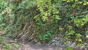 Свирское ущелье/Лазаревское