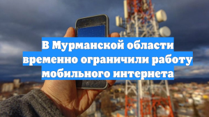 В Мурманской области временно ограничили работу мобильного интернета
