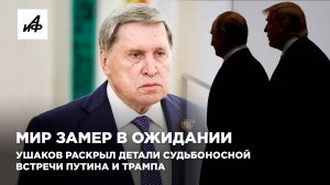Мир замер в ожидании. Ушаков раскрыл детали судьбоносной встречи Путина и Трампа