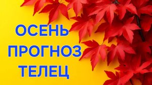 ТЕЛЕЦ. ТАРО ПРОГНОЗ НА ОСЕНЬ