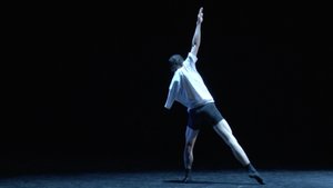 "Тортю" (Черепашка) Хореография Дмитрия Хамзина, исполняет Данила Хамзин