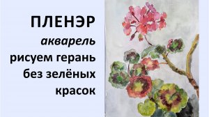 акварель без зелёных красок, рисуем герань