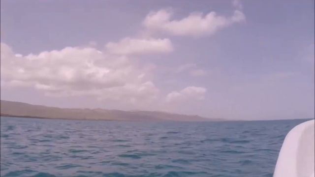 Доминикана Карибы и много, много рыбы смотреть онлайн