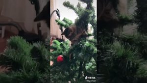 Мой любимый сериал