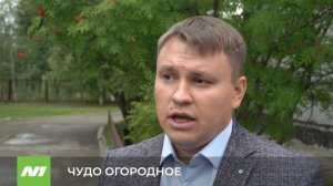 Праздник урожая и конкурс дачников в Нижневартовске