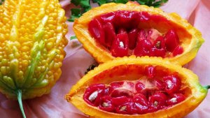 Пробуем Момордику