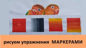 Рисуем упражнения спиртовыми маркерами. Marker exercises.