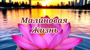 Мы переехали на канал "Малиновая жизнь"