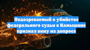 Подозреваемый в убийстве федерального судьи в Камышине признал вину на допросе