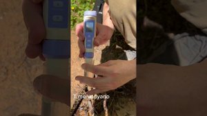 Родник в Лосево Ленинградской области