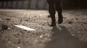 "Дорогу осилит идущий" Алексей Смирнов