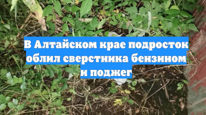 В Алтайском крае подросток облил сверстника бензином и поджег