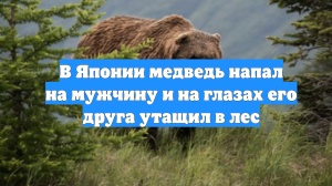 В Японии медведь напал на мужчину и на глазах его друга утащил в лес