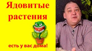 Ядовитые растения, которые есть у вас в доме. Правда 99%