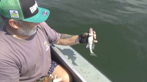 "Рыбацкие байки" 15.08.2025