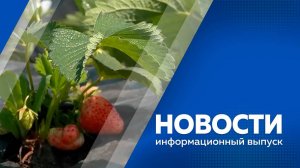 Новости 15.08.25