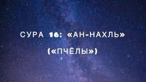 Сура 16: «Ан-Нахль» («Пчёлы») чтец Мишари Рашид аль-Афаси