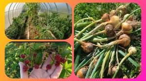 Влог.Планируем по новому