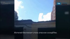 В Новомосковске рой пчел поселился рядом с детской площадкой