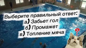 Торпедо водное поло water polo team