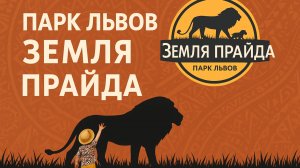 Парк львов Земля прайда, Клин 31.07.2025