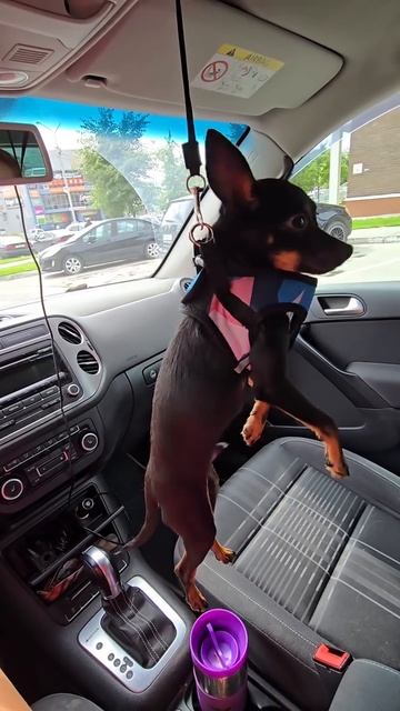 Скачать видео ➡️➡️➡️ в т. Г. https://t.me/cartolega смотреть онлайн