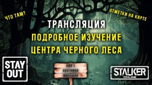 ПОДРОБНОЕ изучение центра Черного леса! 423ий день в Зоне! Сталкер онлайн/StayOut