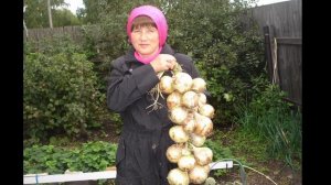 Луковые косы - это круто!