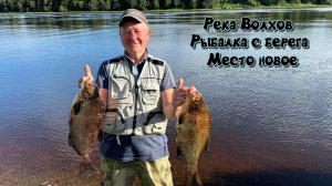 Река Волхов. Рыбалка с берега на новом и красивом месте. Отдых и рыбалка Супер!
