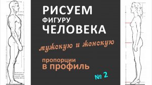 урок 2 рисуем фигуры в профиль мужскую и женскую, изучаем пропорции