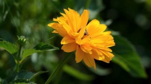 15 августа - Не говорите лишнего. Попадёте в ловушку.