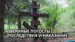 В Саратове  убрали стихийное кладбище животных